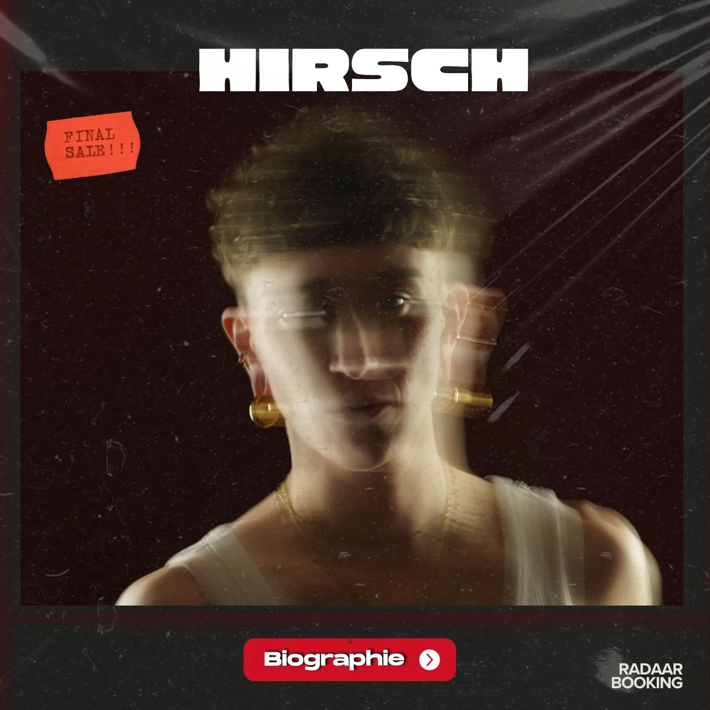 hirsch